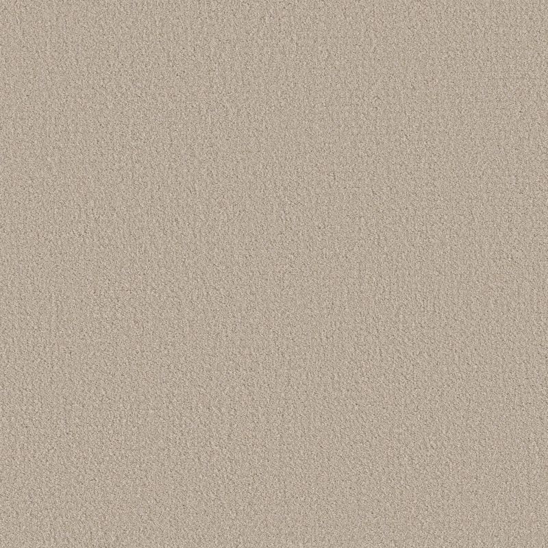 Shaw Floors Nfa Rare Find Sandstone