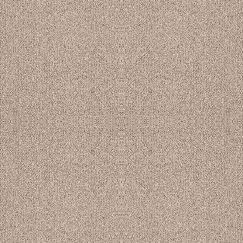 Shaw Floors Nfa Rare Find Heirloom