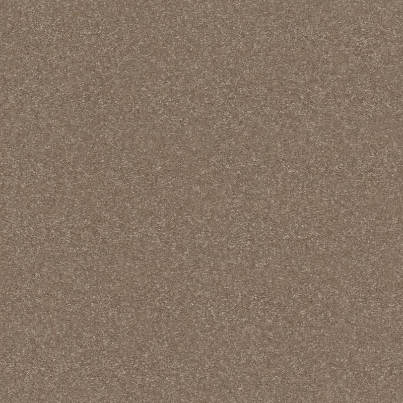 Shaw Floors Nfa Off The Leash III 15 Cameo