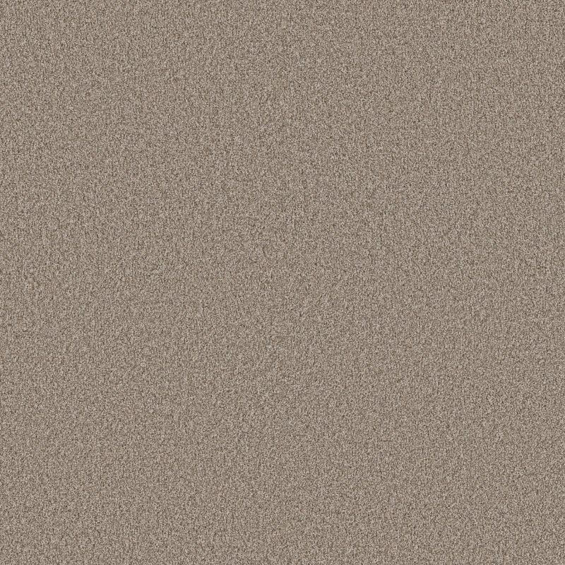 Shaw Floors Nfa Artsy I Soft Sense