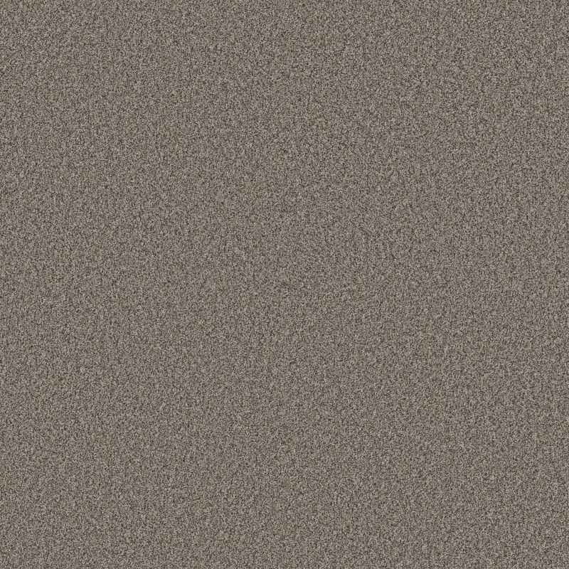 Shaw Floors Nfa Artsy I Warm Light