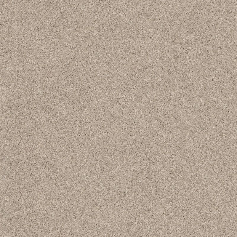 Shaw Floors Nfa Inspire Me I Scone