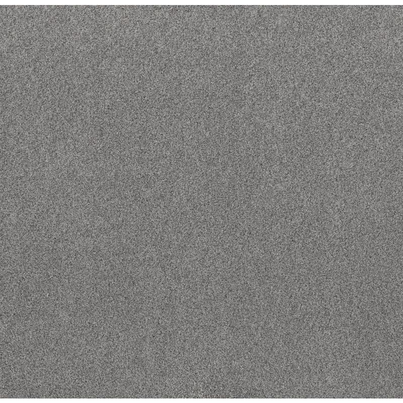 Shaw Floors Nfa Simple Life Looking Glass