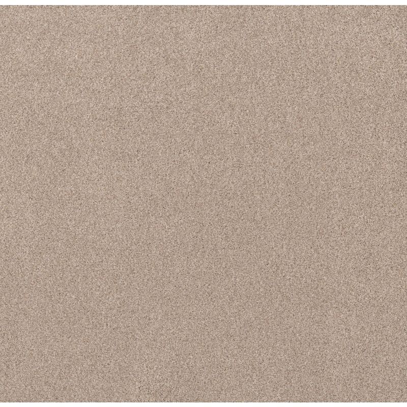 Shaw Floors Nfa Simple Life Palm Desert