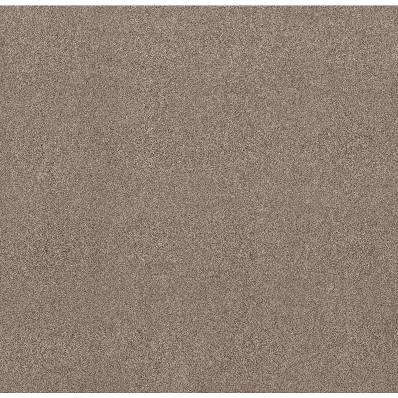 Shaw Floors Nfa Simple Life Carriage House