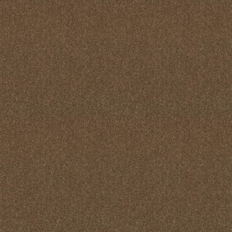 Shaw Floors Queen Knockout II 12' Sequoia