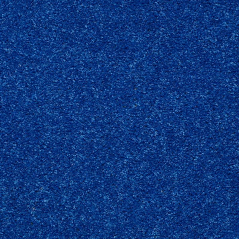 Shaw Floors Queen Knockout II 15' Electric Blue