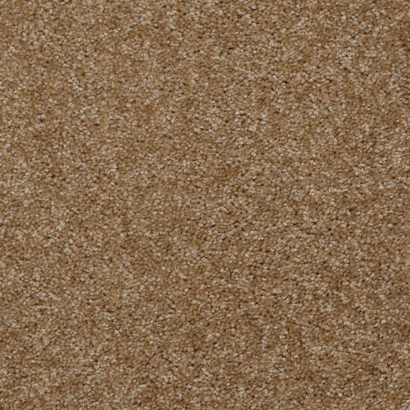 Shaw Floors Queen Ironworks Worn Saddle