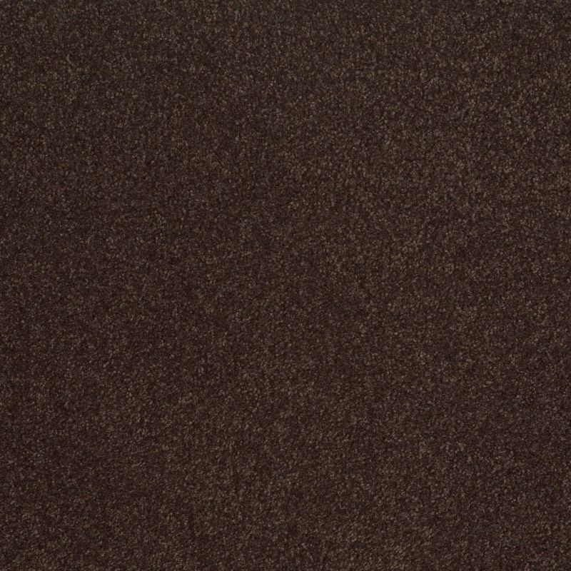 Shaw Floors Sandy Hollow III 12' Tundra