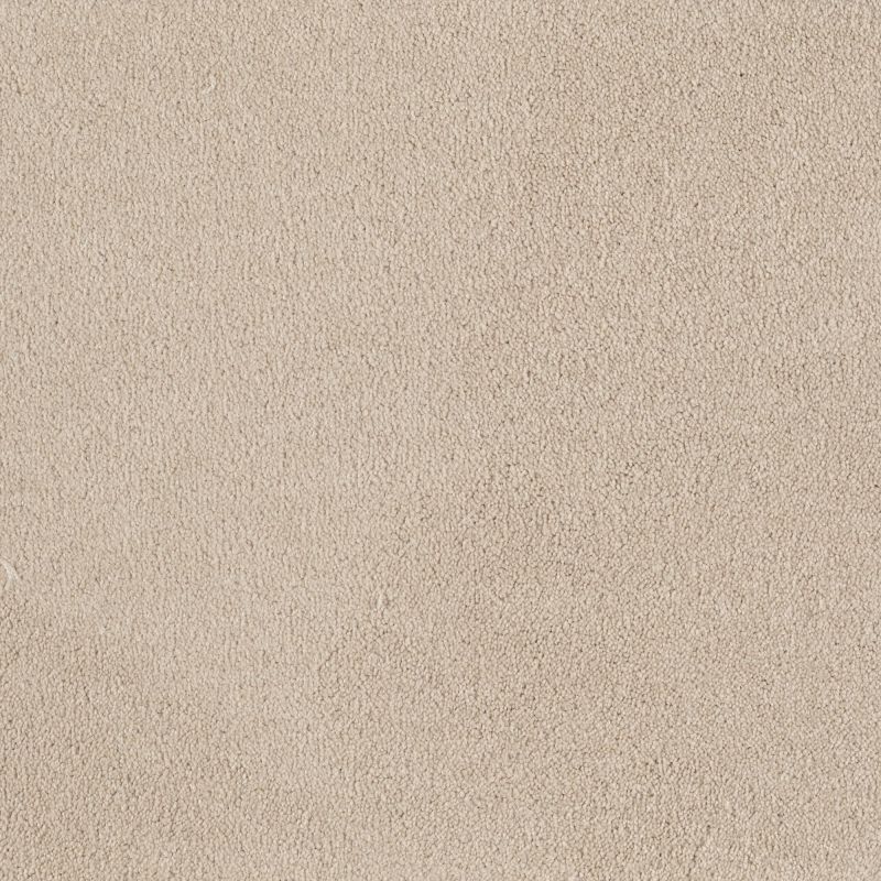 Shaw Floors SFA Timeless Appeal I 12' Mushroom