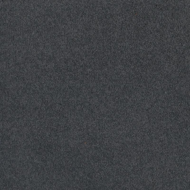 Shaw Floors SFA Timeless Appeal I 12' Cadet