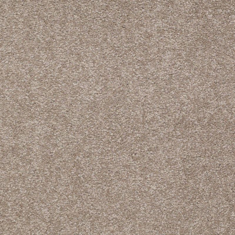 Shaw Floors Shaw Floor Studio Bright Spirit II 15' Chinchilla