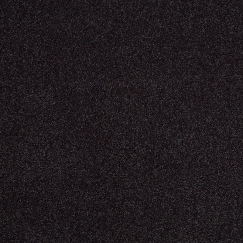 Shaw Floors Shaw Floor Studio Bright Spirit III 12' Graphite