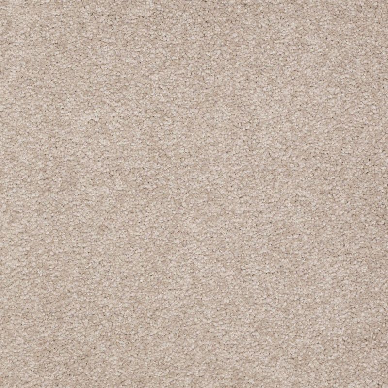 Shaw Floors Shaw Floor Studio Bright Spirit III 15' Soft Shadow