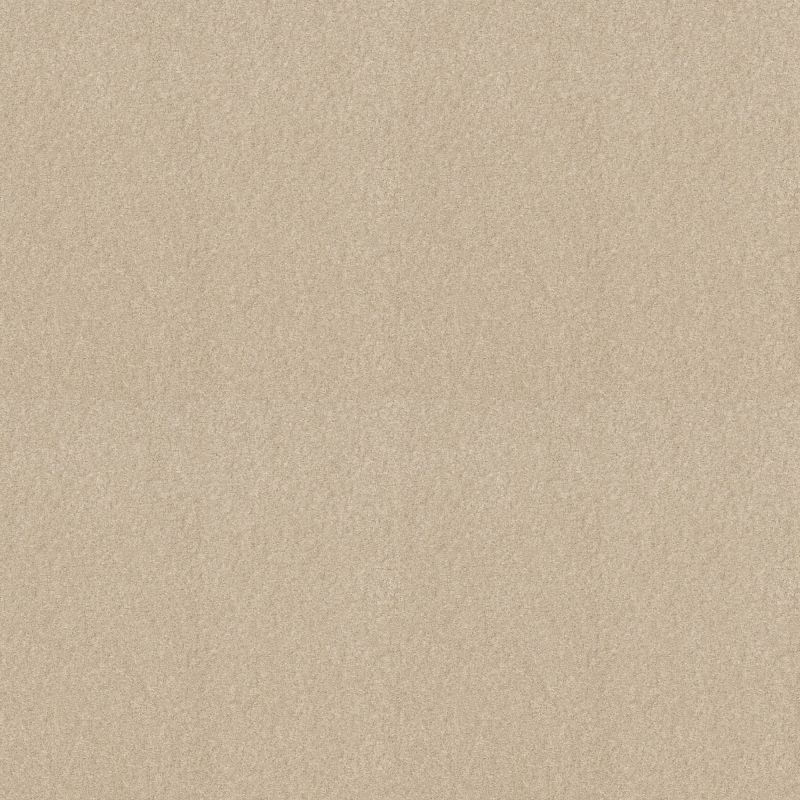 Shaw Floors Sophistication 12' Pudding