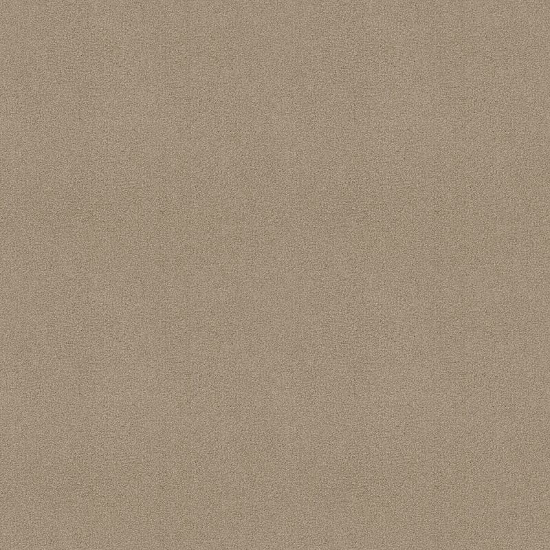 Shaw Floors Sophistication 12' Soft Shadow