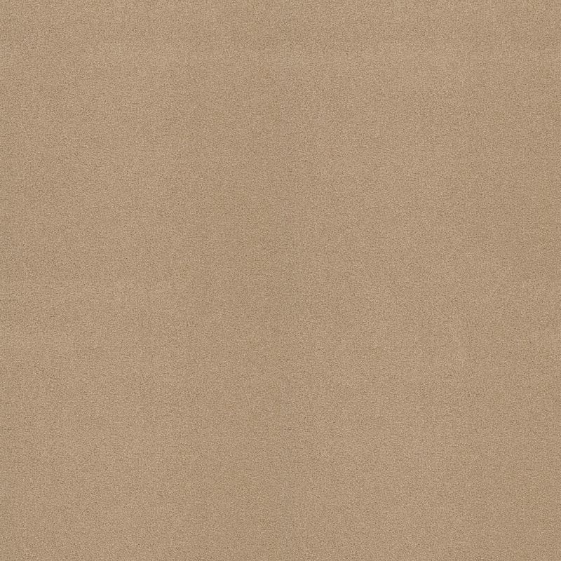 Shaw Floors Sophistication 12' Stucco