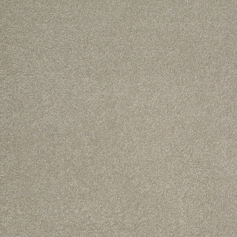 Shaw Floors Sophistication 12' London Fog