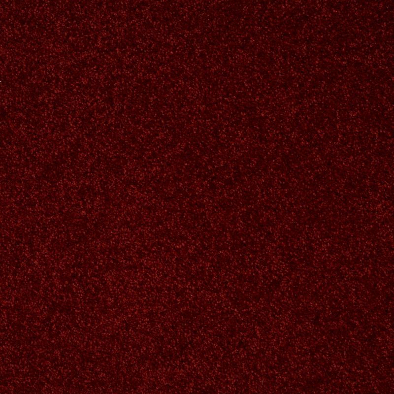 Shaw Floors Queen Point Guard 15' Red Wine