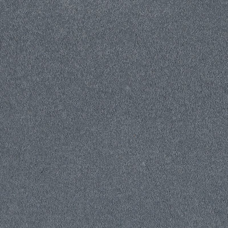 Shaw Floors Shaw Design Center Sweet Valley I 12' Blue Suede