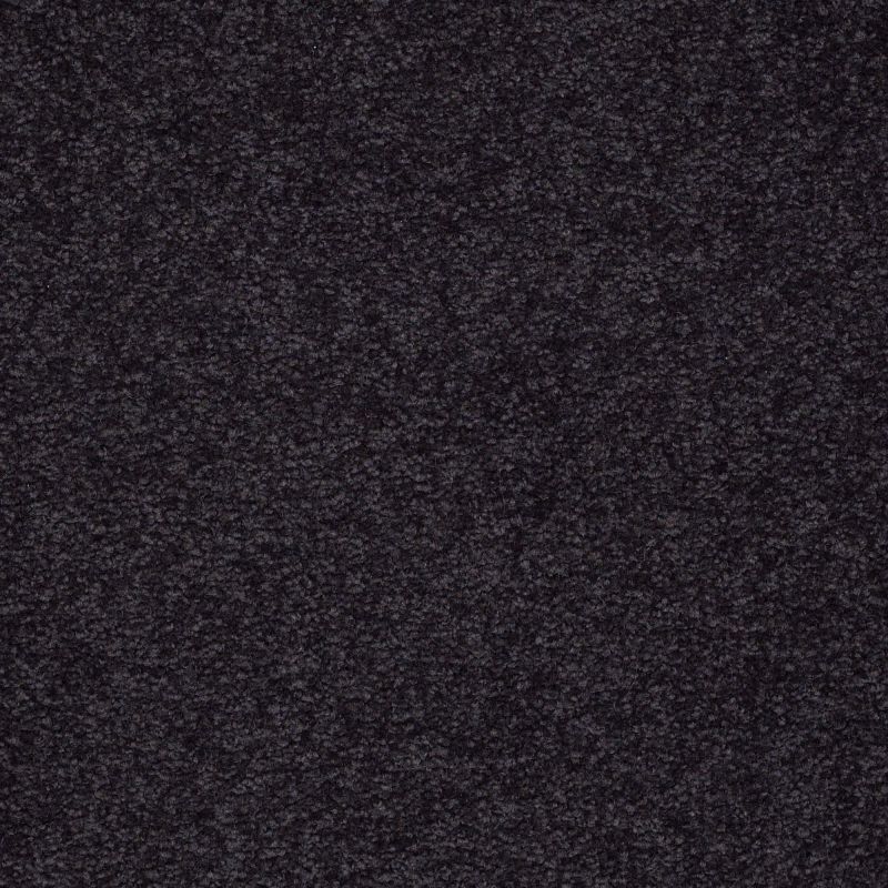 Shaw Floors Shaw Design Center Sweet Valley II 12' Graphite