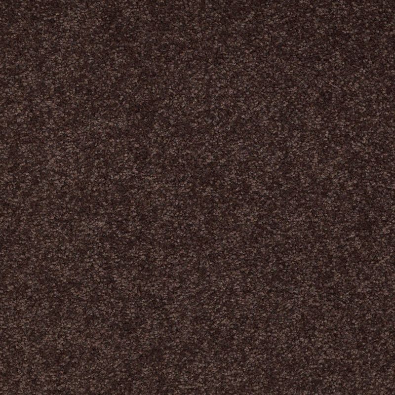 Shaw Floors Shaw Design Center Sweet Valley II 12' Tundra