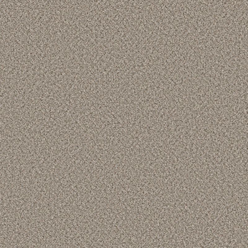 Shaw Floors Roll Special Qs853 Stepping Stone