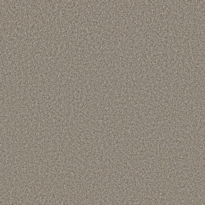 Shaw Floors Roll Special Qs854 Shooting Star