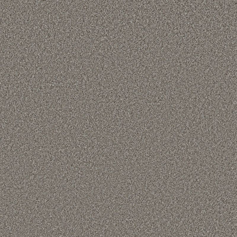 Shaw Floors Roll Special Qs854 Meteor