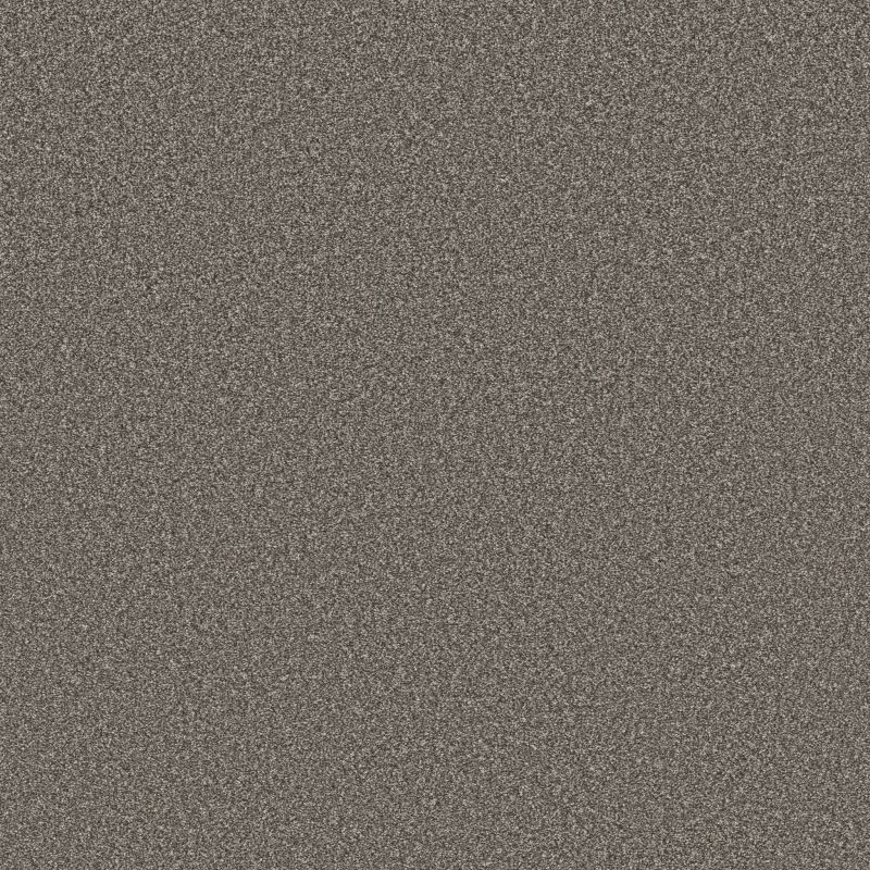 Shaw Floors Roll Special Qs854 Castle Wall