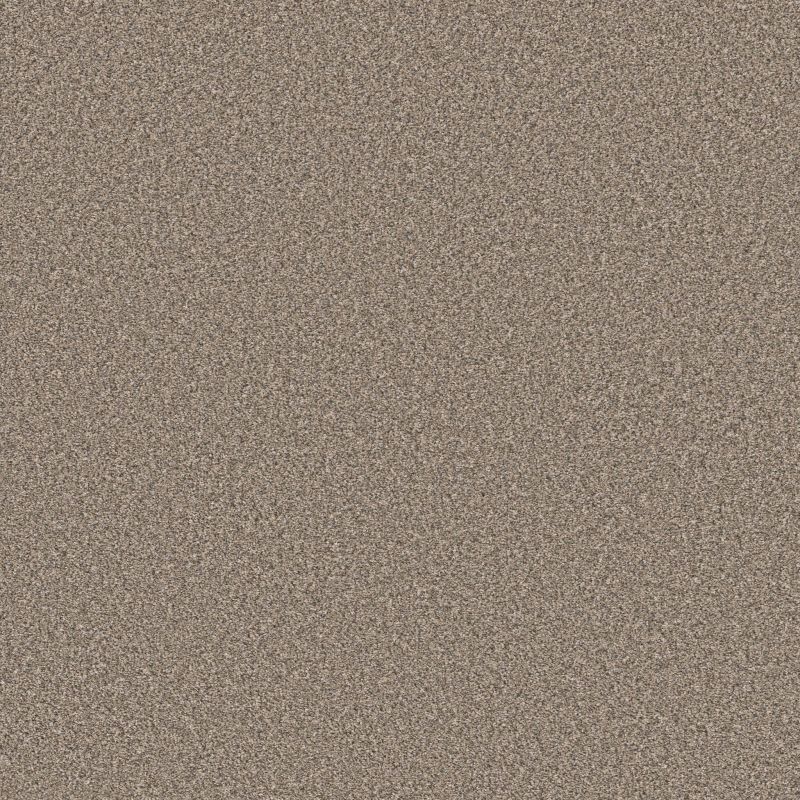 Shaw Floors Roll Special Qs854 Desert Dune