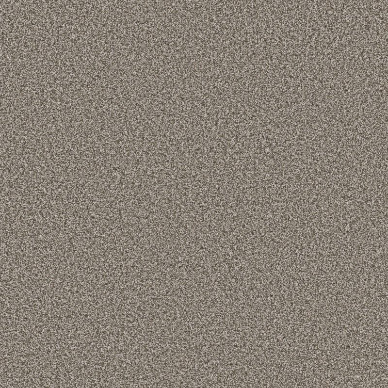 Shaw Floors Roll Special Qs855 Ancient Stone