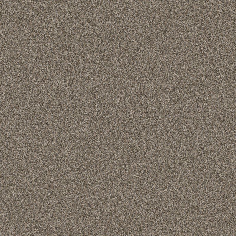 Shaw Floors Simply The Best Qs858 Woodcraft