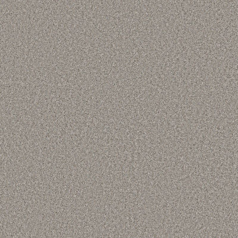 Shaw Floors Simply The Best Qs858 Sterling