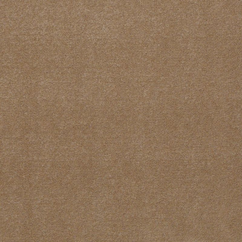 Philadelphia Commercial No Rules Floyd Park 36 Canyon Dust