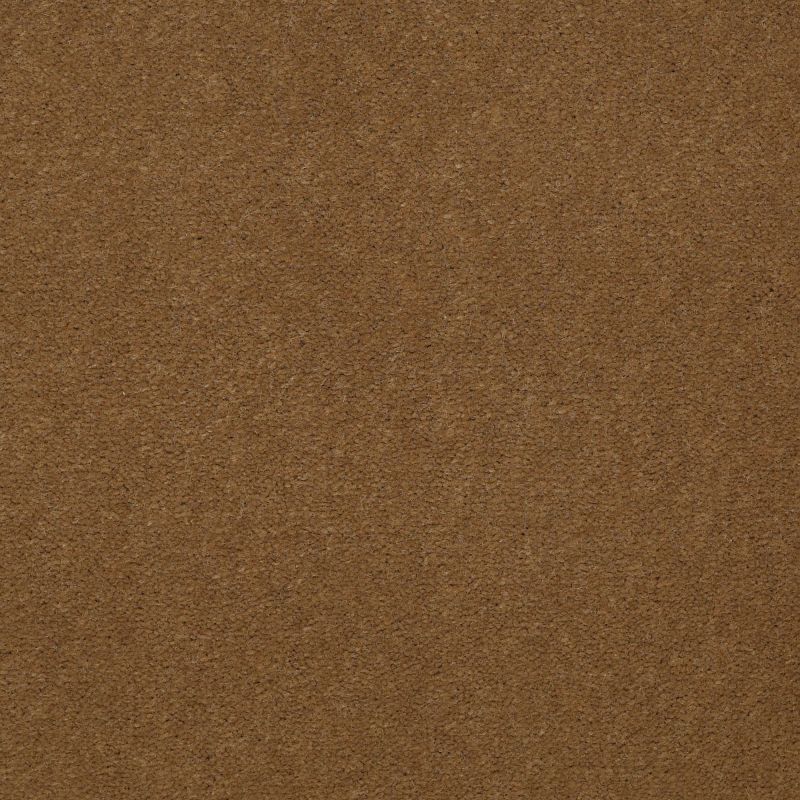 Philadelphia Commercial No Rules Floyd Park 36 Cajun