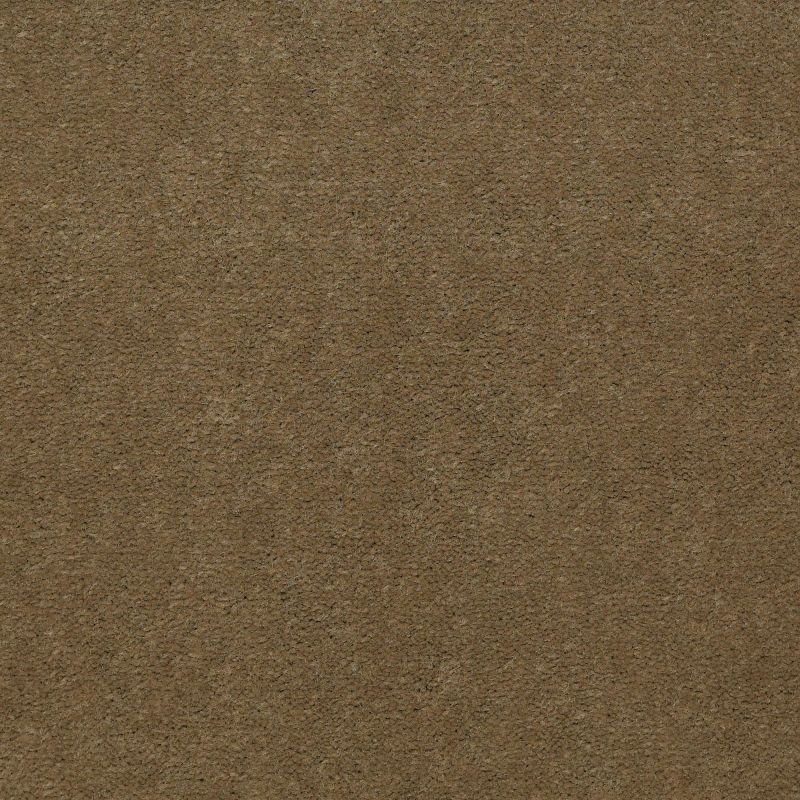 Philadelphia Commercial No Rules Floyd Park 36 Olive Twist