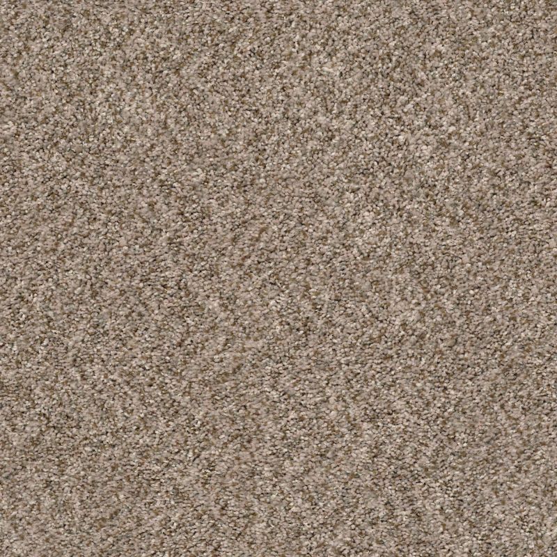 Shaw Floors Shaw On Shelf Marina I Mesa