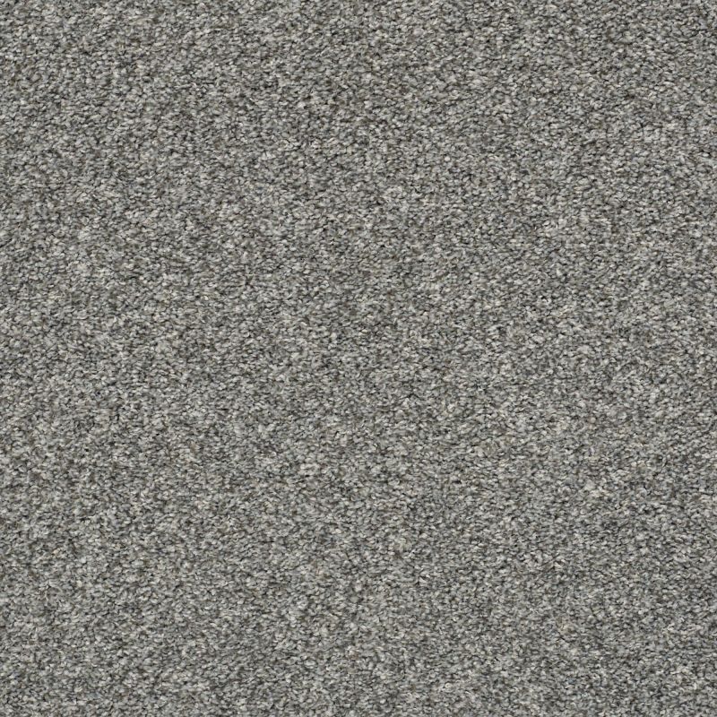 Shaw Floors Rincon Sparrow