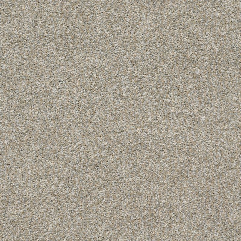 Shaw Floors Rincon Misty Harbor