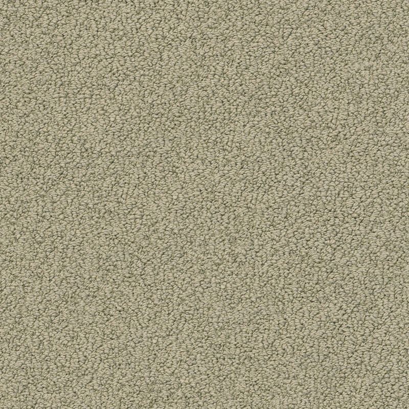 Shaw Floors Shaw On Shelf Playa Azul II Mocha