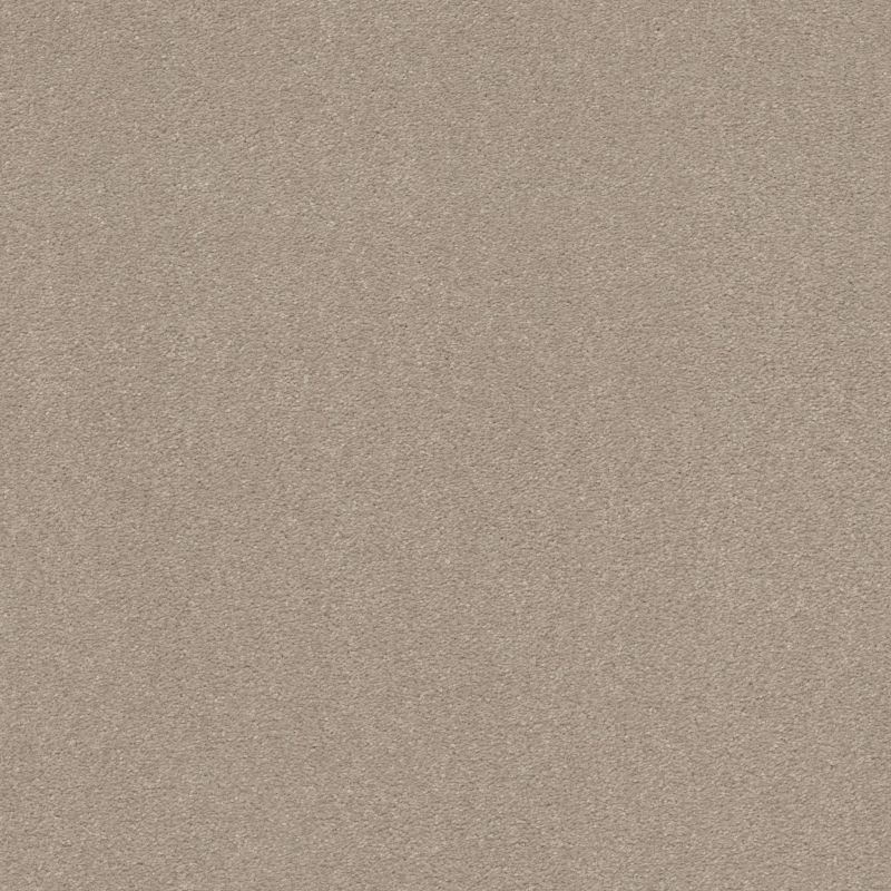 Shaw Floors Shaw On Shelf Bonny Doon Dreamy