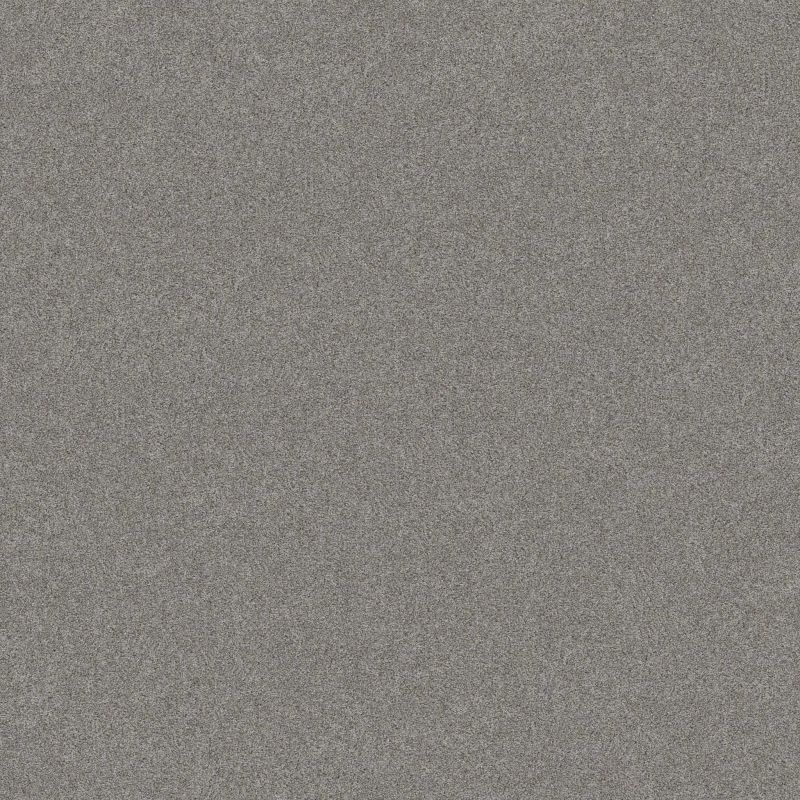 Shaw Floors Shaw On Shelf Seacliff Grey Fox