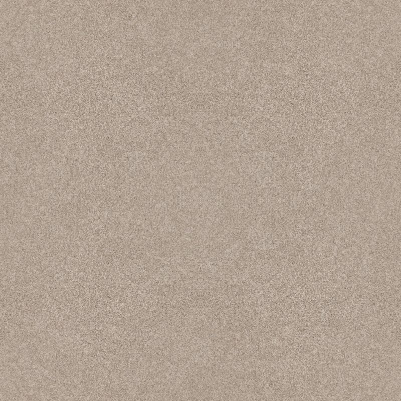 Shaw Floors Shaw On Shelf Seacliff Sandstone