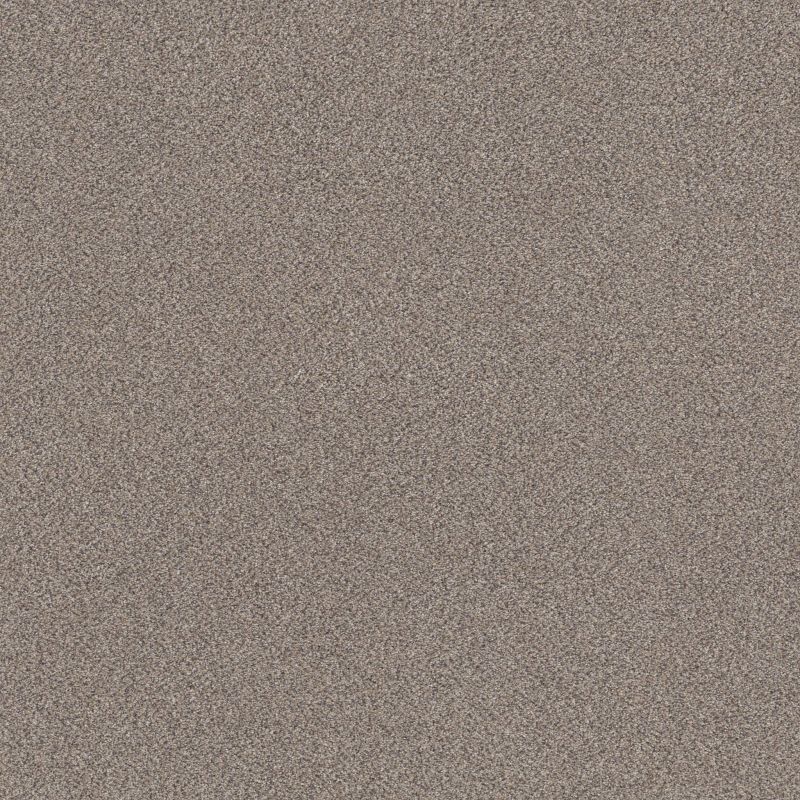 Shaw Floors Muscle Shoals Concrete