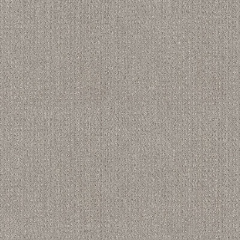 Shaw Floors El Capitan I Silver Lining