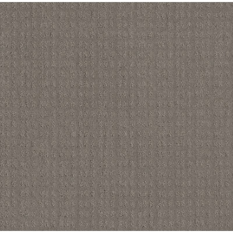 Shaw Floors El Capitan I River Run