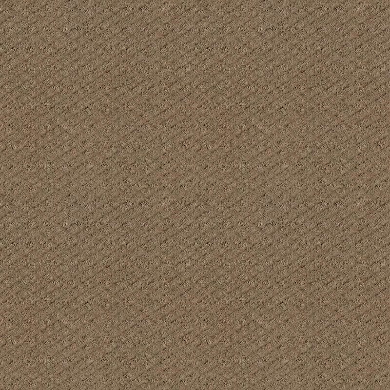 Shaw Floors El Capitan II Raw Wood