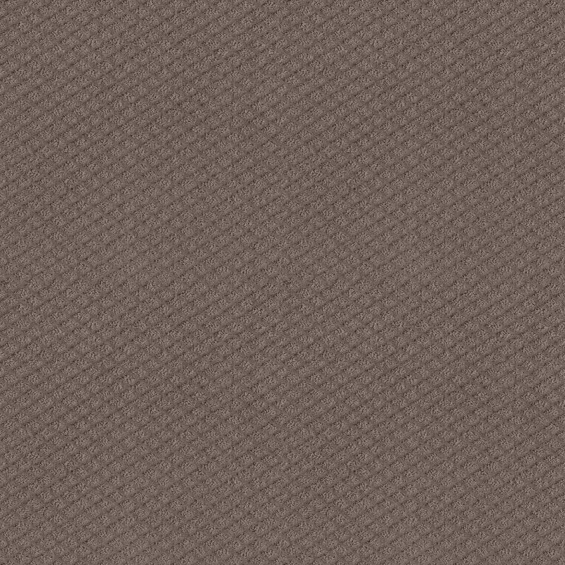 Shaw Floors El Capitan II Ridgeview