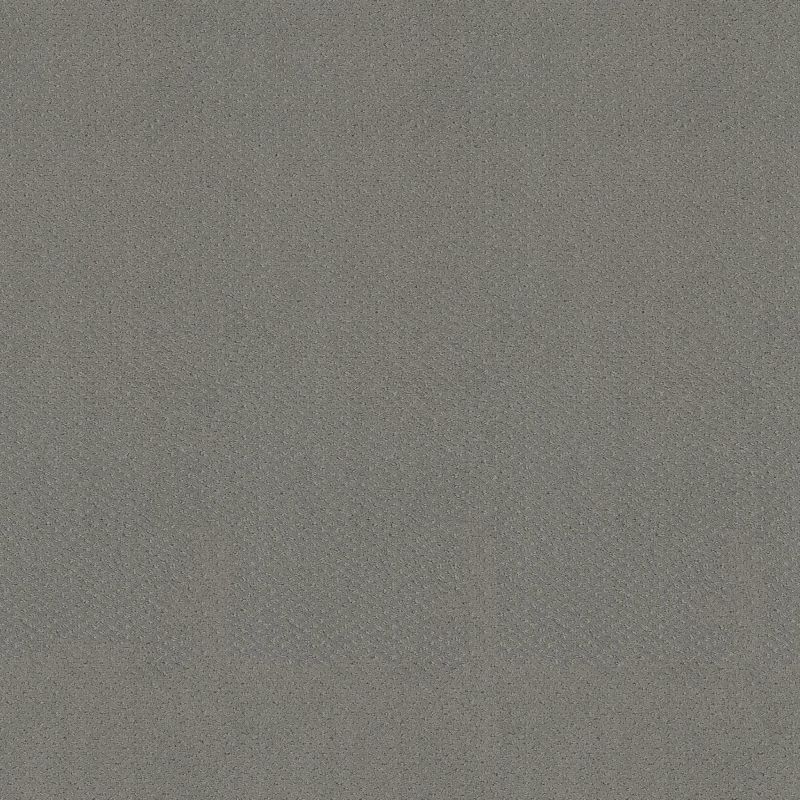 Shaw Floors El Capitan III Grey Fox